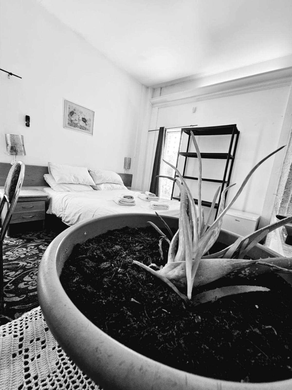 Zion Hotel 2*